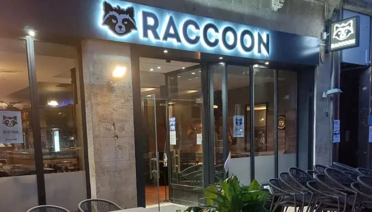 Raccoon BAR
